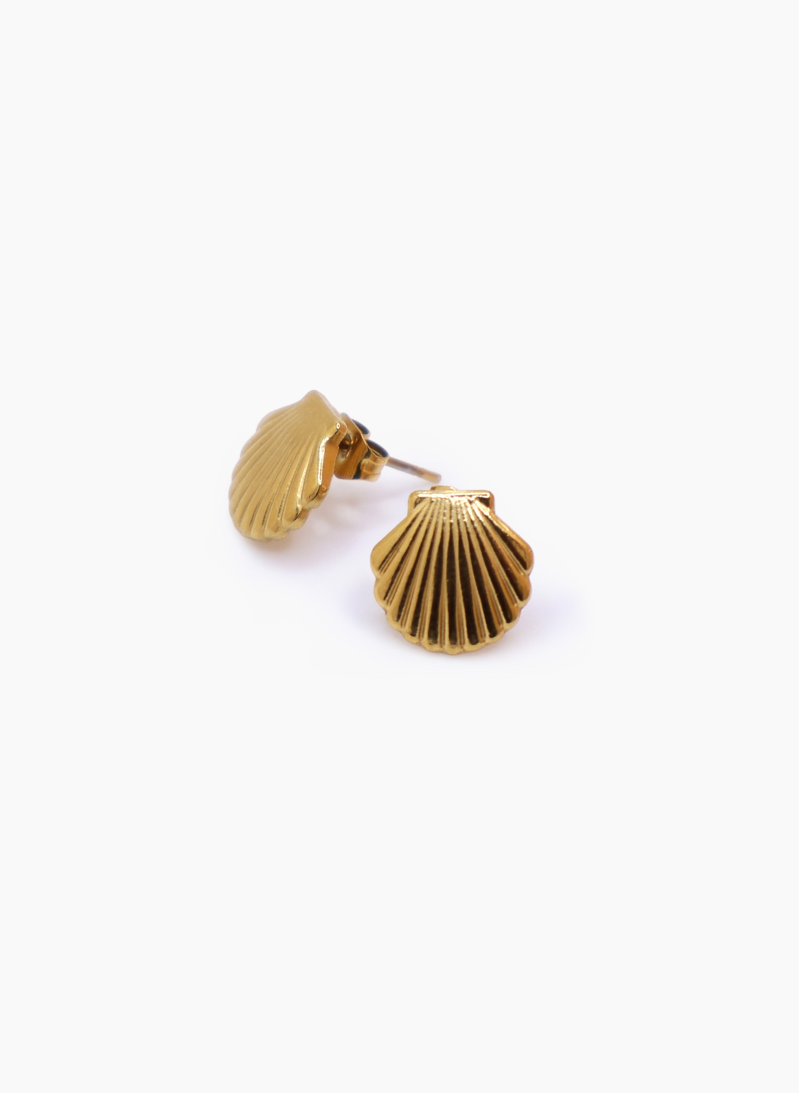 Aretes Concha de mar